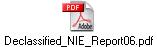 Declassified_NIE_Report06.pdf